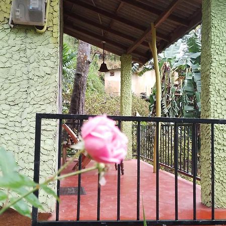 Jungle View Cottage Элла Экстерьер фото