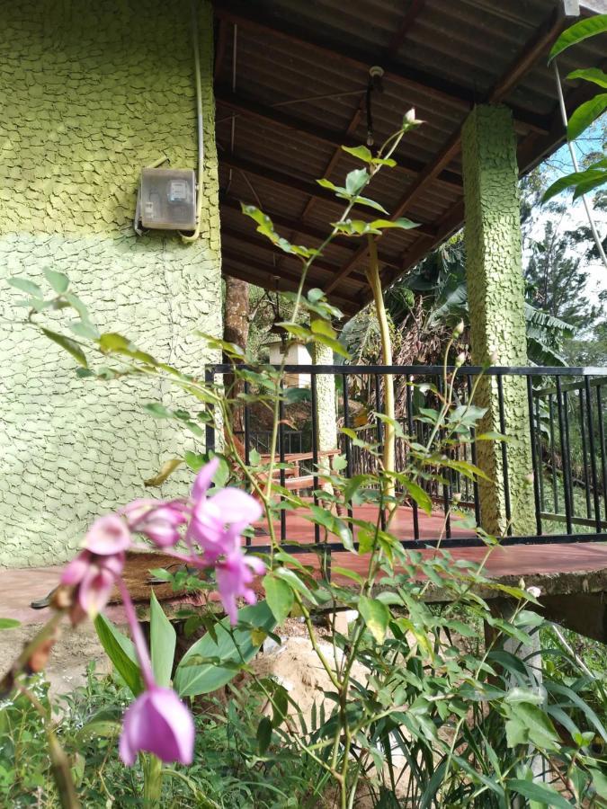 Jungle View Cottage Элла Экстерьер фото