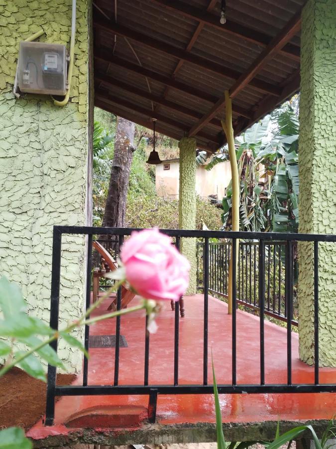 Jungle View Cottage Элла Экстерьер фото